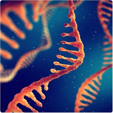 Competing Endogenous RNA in Human Disease