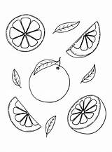 Picture Grapefruit Coloring Page Coloring For Kids And Adults  sketch template