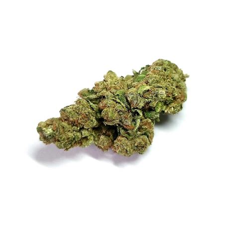 Horchata Weed Strain Reviews, Information & Effects