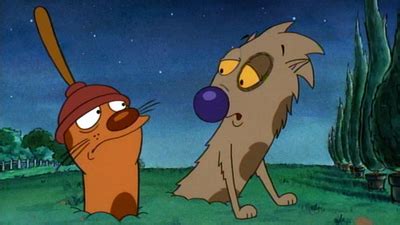 Watch CatDog Season 1 Episode 2: Flea or Die / CatDog Food - Full show on Paramount Plus