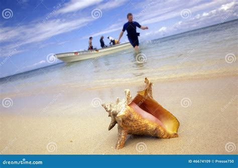 AMERICA CARIBBIAN SEA DOMINICAN REPUBLIC Editorial Stock Image - Image of bayahibe, america ...