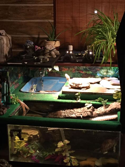 This is my turtle habitat that I made for my 2red eared sliders. It is ...