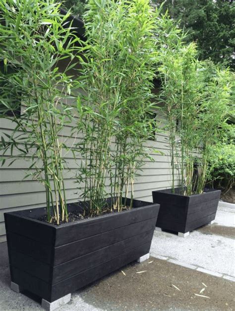 33 Garden Screening Ideas - Garden Screen for Privacy | Bamboo planter ...