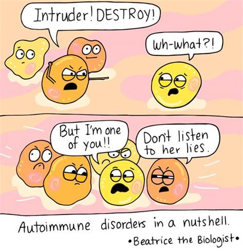 Autoimmune Disorders in a Nutshell | Autoimmune disorder, Autoimmune disease, Autoimmune