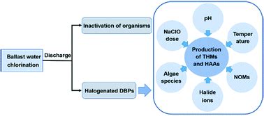 Formation of halogenated disinfection by-products during ballast water chlorination ...