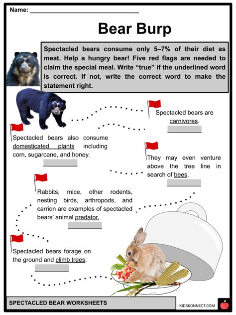 Spectacled Bear Worksheets & Facts | Features, Life Span, Threats