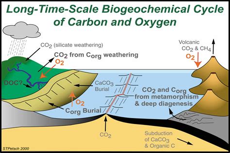 Chemical Weathering Carbon Dioxide Diagram