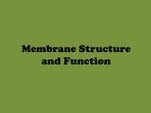 2.4 cell membranes notes | PDF