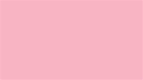 Light Pink Solid Color Background: 1000+ Free Download Vector, Image ...