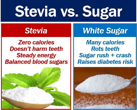 Stevia science, benefits, and future potential - Market Business News