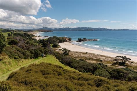 11 Best Beaches in Auckland | Celebrity Cruises