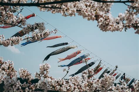 Children’s Day in Japan: When and How to Celebrate Kodomo no Hi | Japan ...