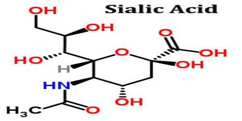 Sialic Acid - Assignment Point