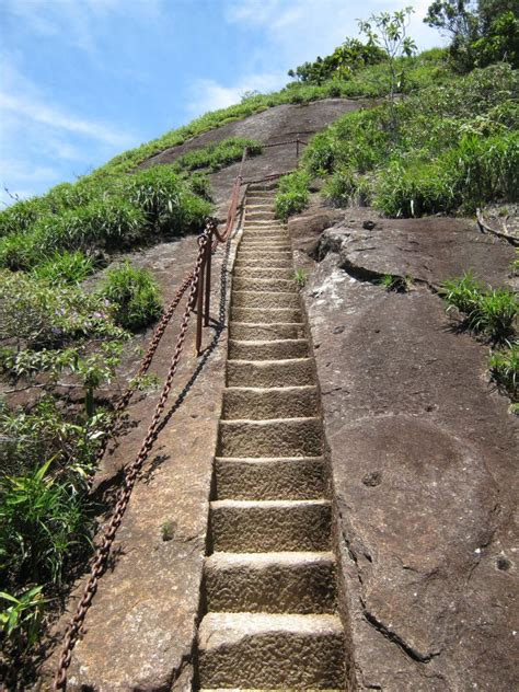 TIJUCA FOREST - AN URBAN FOREST IN THE HEART OF RIO! - Free Walker Tours