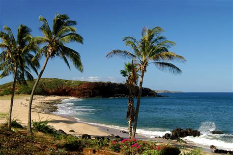 Best Beaches on Molokai | Elite Travel Journeys