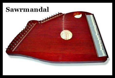 Swarmandal | Indian instruments, Making music, Musical instruments