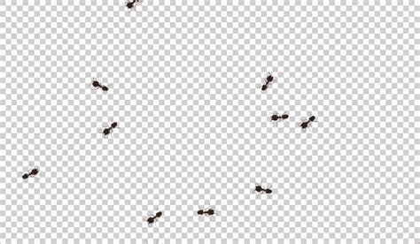 What is this, a gif for ants? | Digitales, Curiosidad