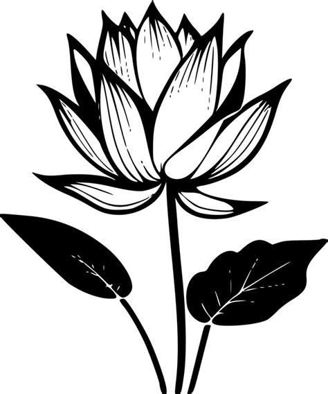 Lotus Flower, Black and White Vector illustration 23543096 Vector Art ...