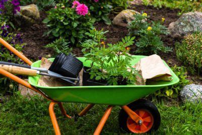 Choosing A Wheelbarrow – Learn About Different Types Of Wheelbarrows