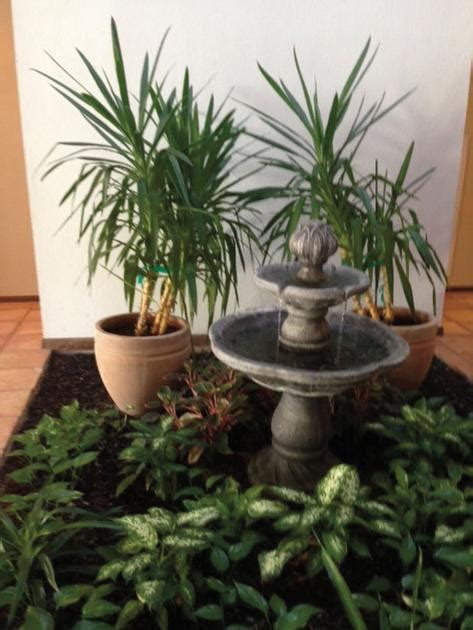 Atrium plants - bring outdoors to indoor spaces | Home And Garden ...