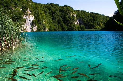 Plitvice Lakes, Croatia : europe