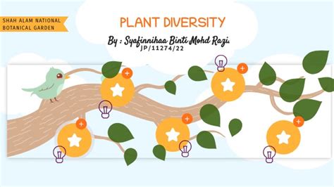 Plant Diversity