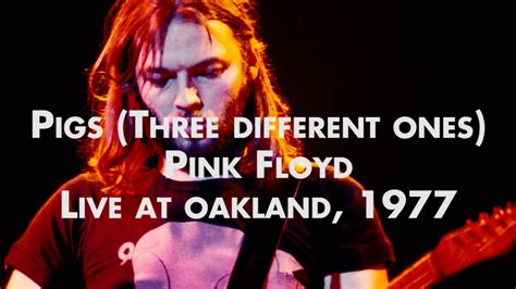 Pink Floyd - Pigs (Three Different Ones) - Live at Oakland - YouTube