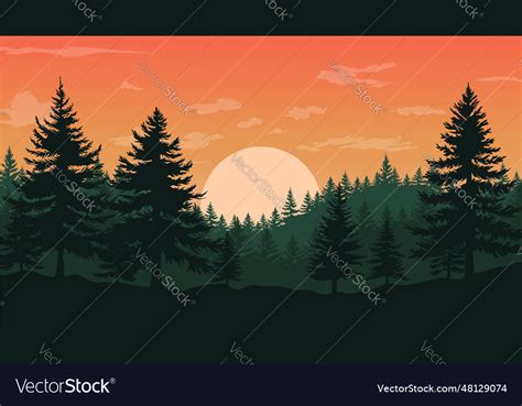 Pine forest silhouette sunset background Vector Image