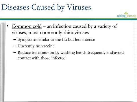 Viruses Viruses. - ppt download