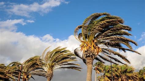 Santa Ana Winds Forecast Throughout Southland This Weekend | Edison International | Newsroom