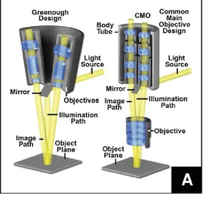 Stereo Microscope: Uses, Advantages, and Disadvantages – Microbe Online