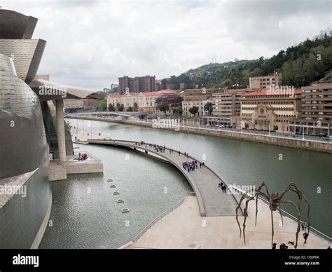 Guggenheim Museum Bilbao and Louise Bourgeois Maman sculpture by the Nervion river Stock Photo ...