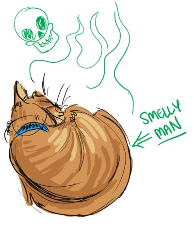 smelly smelly cat | Tumblr