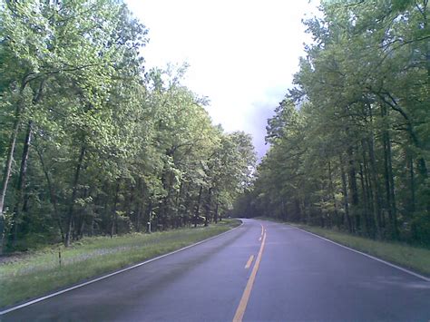 Natchez Trace Parkway | David McNamara