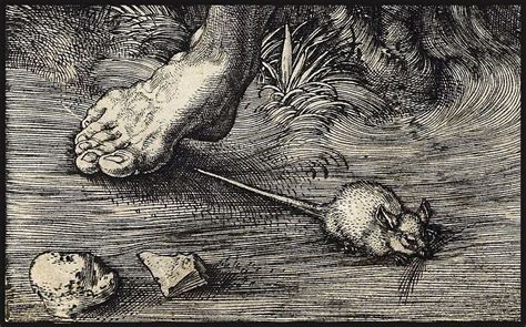 Dürer 'The Fall of Man (Adam and Eve)' 1504 engraving (Detail) | Albrecht durer, Adam and eve ...