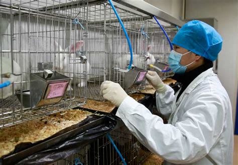 Experts mull tougher regulations on lab animal welfare- China.org.cn