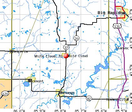 White Cloud, Michigan (MI 49349) profile: population, maps, real estate, averages, homes ...