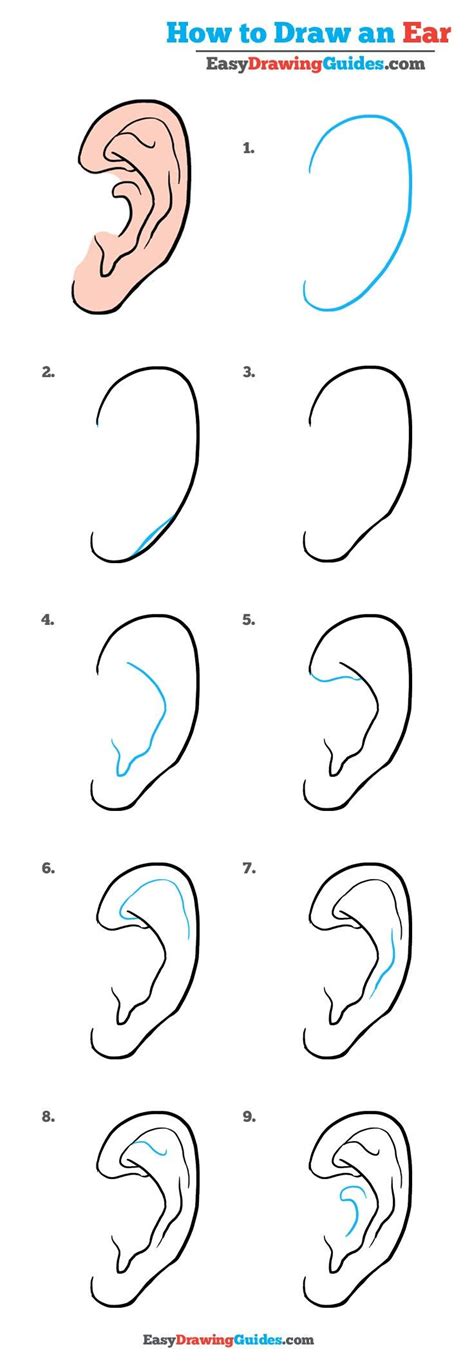 How to Draw an Ear – Really Easy Drawing Tutorial | Drawing tutorial easy, Drawing tutorial ...