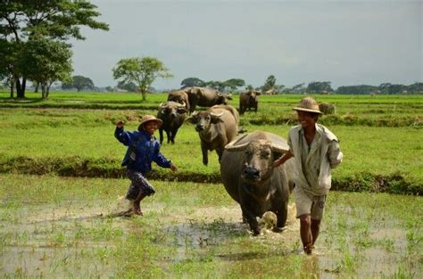 Bago, Myanmar