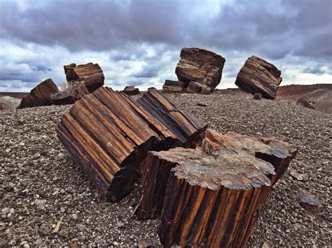 Petrified Forest National Park – JAdRunning