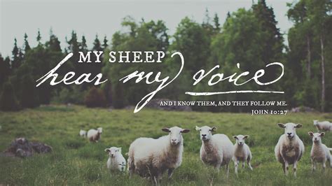 Bible Art John 9-10 My sheep hear my voice – The Scripture Says