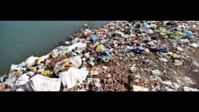 Expanding food stalls and garbage dumps at Juhu beach trouble residents ...