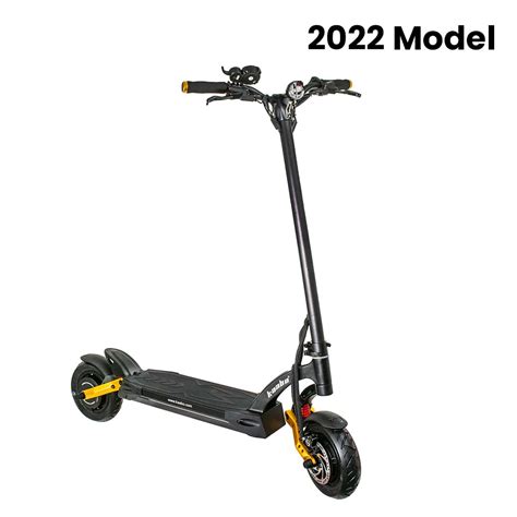 Best Electric Scooter For Heavy Adults 300 Lbs [9 Options]