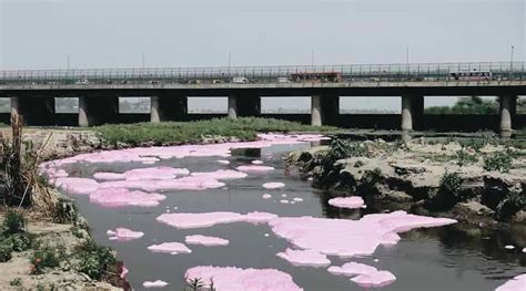 To clean up Yamuna, Delhi Jal Board to ‘review’ drains and pipelines ...