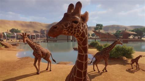 Planet Zoo review | PC Gamer