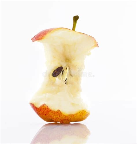 Apple Core stock image. Image of diet, seeds, healthy - 21710297