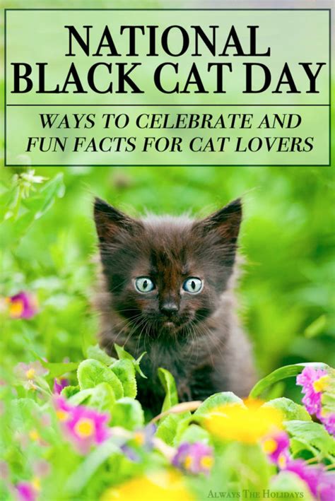 National Black Cat Day - Fun Facts and Ways to Celebrate these Felines