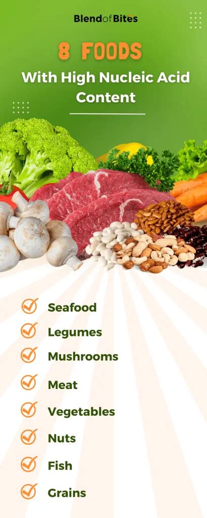 Nucleic Acids Foods: 8 Foods With High Nucleic Acid Content - Blend of Bites