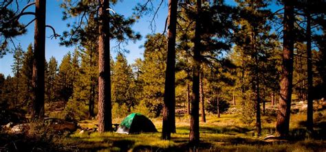 19 Best Delightful Destinations for Camping in Southern California ...