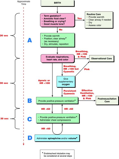 Neonatal Resuscitation Cheat Sheet